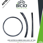Aro aluminio anillado 29" 36h Astrid