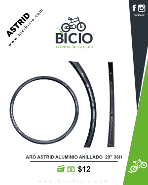 Aro aluminio anillado 29" 36h Astrid