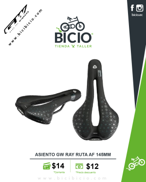 Asiento GW Ray