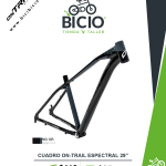 Cuadro OnTrail Espectral 29"
